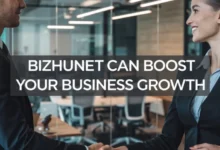 bizhunet